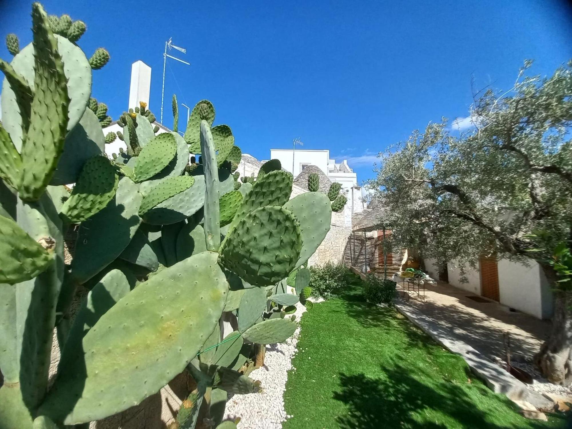 Trullo Vacanza Alberobello Habitación foto